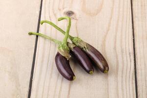 baby biologisch Purper aubergine hoop foto