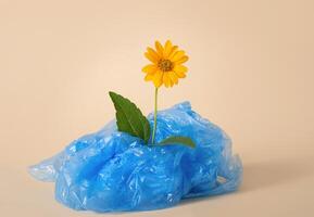 een bloem in een plastic zak Aan een beige achtergrond. milieu vervuiling. ecologie concept. aarde vervuiling. kopiëren ruimte. foto