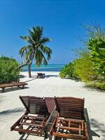 strand ligstoelen Aan de droom wit strand van de Maldiven. foto