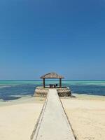 Aan vakantie Aan de droom strand van de Maldiven met de uniek turkoois wateren van de Indisch oceaan. foto