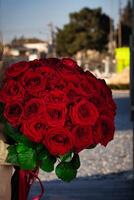 vrouw Holding groot boeket van rood rozen, kopiëren ruimte foto