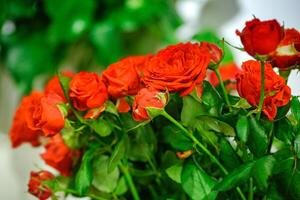 levendig rood rozen in vaas foto