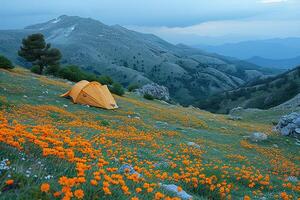 ai gegenereerd camping vrijheid in de natuur en hebben pret met voorjaar wild bloemen visie foto