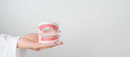 tandarts met orthodontisch tand model- en haakje of beugel. schoon en schrapen uit tandsteen. mei orthodontisch Gezondheid dag, maart mondeling Gezondheid, tandarts dag, false tanden. kiespijn en kinderen tandheelkundig Gezondheid foto