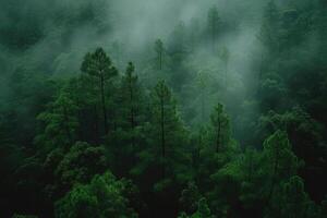 ai gegenereerd eng groen donker Woud natuur professioneel fotografie foto