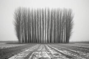 ai gegenereerd eng groen donker Woud natuur professioneel fotografie foto