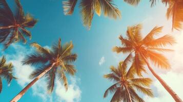 ai gegenereerd blauw lucht en palm bomen visie van onderstaand, wijnoogst stijl, tropisch strand en zomer achtergrond, reizen concept foto