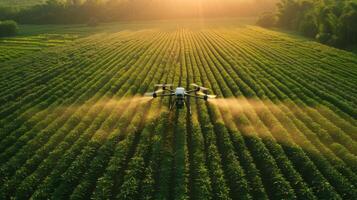 ai gegenereerd boeren in werking pesticide sproeien drones over- een weelderig Bijsnijden veld, presentatie van de integratie van agrarisch technologie in modern landbouw, met een focus Aan de drones in actie foto