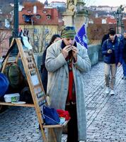 persoon spelen een lokaal musical instrument gevonden Aan Charles brug in Praag foto