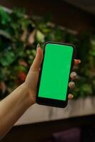 de menselijk hand- shows een mobiel smartphone met een groen scherm in een rechtop positie .bespotten omhoog mobiel. wazig achtergrond foto