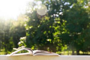 een Open boek leugens Aan een bank Aan een zonnig zomer dag in de park. buiten, kant visie hoog kwaliteit foto