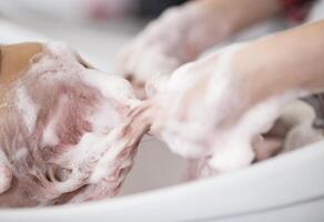 de handen van de kapper wassen de van de klant haar- met een dik schuim. selectief focus foto