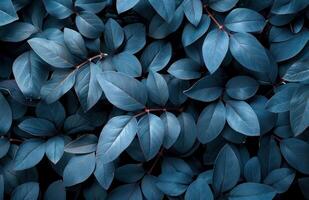 ai gegenereerd zwart en blauw bladeren Aan een zwart achtergrond, in de stijl van licht kastanjebruin en donker smaragd foto