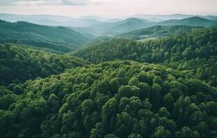 ai gegenereerd antenne visie van groen bossen in de bergen met bergen en Doorzichtig lucht foto