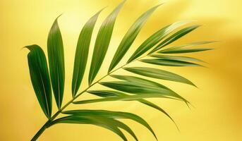 ai gegenereerd groen palm blad Bij geel achtergrond met twee bladeren groen blad foto