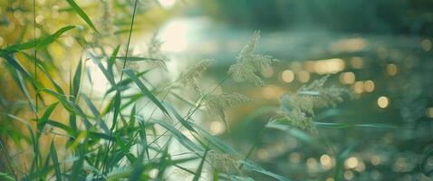 ai gegenereerd echt natuurlijk gras voorraad beeldmateriaal foto