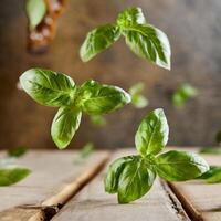 vliegend vers natuurlijk basilicum bladeren Aan houten backdrop foto