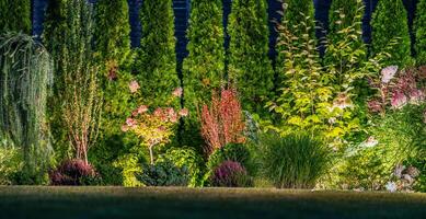 verlichte gerijpt achtertuin door LED buitenshuis tuin verlichting foto