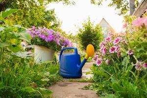boerderij arbeider tuinieren hulpmiddelen. blauw plastic gieter kan voor irrigatie planten geplaatst in tuin met bloemen Aan bloembed en bloempot Aan zonnig zomer dag. tuinieren hobby landbouw concept foto