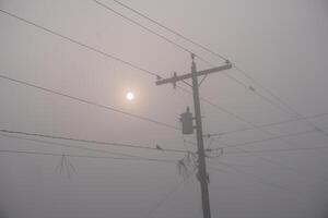 zon, vogelstand en elektrisch polen Aan winter ochtenden foto