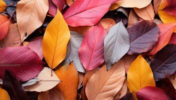 ai gegenereerd kleurrijk herfst bladeren achtergrond. dichtbij omhoog van herfst bladeren achtergrond. foto