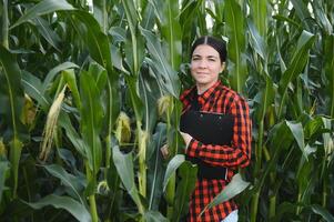 agronoom boer vrouw in maïs veld. vrouw boerderij arbeider analyseren Bijsnijden ontwikkeling. foto