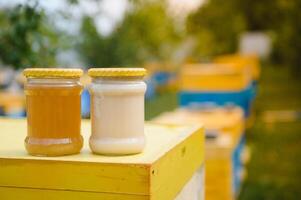 honing pot en bijenkorven Aan weide in lente. bijenteelt en honing productie. gezond en biologisch natuurlijk voedsel. zoet voedsel. foto
