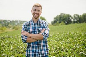 boer of agronoom onderzoeken groen soja planten in veld. foto