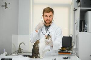 Mens dierenarts luisteren kat met stethoscoop gedurende afspraak in veterinair kliniek foto