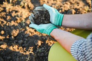 top visie van boer vrouw hand- Holding compost vruchtbaar zwart bodem achtergrond en kopiëren ruimte, concept van landbouw, tuinieren, opslaan wereld, aarde dag en handen ecologie omgeving. foto
