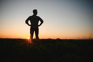 boer agronoom in soja veld- controle gewassen. biologisch voedsel productie en teelt. foto