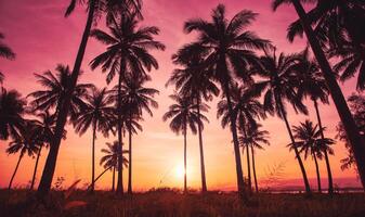 silhouet kokospalmen op het strand bij zonsondergang. vintage toon. foto