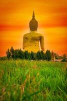 groot standbeeld Boeddha beeld Bij zonsondergang in zuiden van Thailand foto