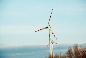 wind boerderij park De volgende naar een weg in Oostenrijk in zonnig het weer. foto