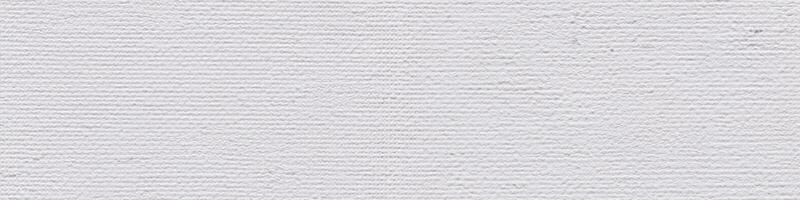 klassiek wit acryl canvas achtergrond net zo een deel van uw creatief werk. naadloos panoramisch textuur. foto