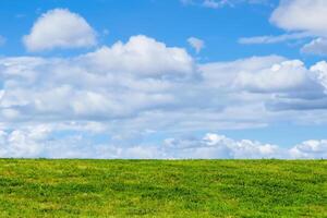 groen gras achtergrond tonen een horizon van cumuleerbaar pluizig wolken met een blauw lucht in een agrarisch weiland veld, voorraad foto beeld met kopiëren ruimte