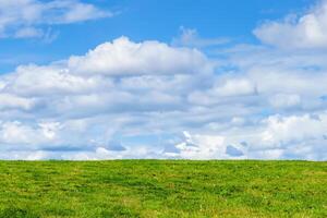 groen gras achtergrond tonen een horizon van cumuleerbaar pluizig wolken met een blauw lucht in een agrarisch weiland veld, voorraad foto beeld met kopiëren ruimte