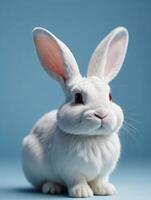 ai gegenereerd foto van wit konijn oor Aan pastel blauw achtergrond Pasen dag 3d weergave. ai gegenereerd
