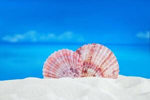 zee roze schelpen Aan zanderig strand, achter zee. concept van vakantie, reizen in heet landen. vakantie hart. kopiëren ruimte foto