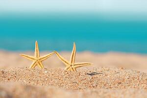 twee oranje zeester Aan zomer zanderig strand met wazig zee achtergrond. vakanties, reis, ontspanning. kopiëren ruimte foto