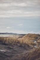 winter Bij de duinen in Denemarken foto