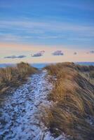 besneeuwd traject Bij de strand in Denemarken Bij avond foto