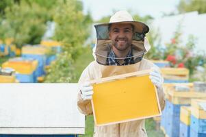 imker is werken met bijen en bijenkorven Aan bijenstal. bijen Aan honingraat. kaders van bij bijenkorf. bijenteelt. honing. gezond voedsel. natuurlijk producten. foto