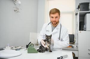 kat Aan examen tafel van dierenarts kliniek. veterinair zorg. dierenarts dokter en kat. foto