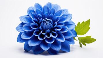 ai gegenereerd levendig blauw bloem geïsoleerd ai gegenereerd foto