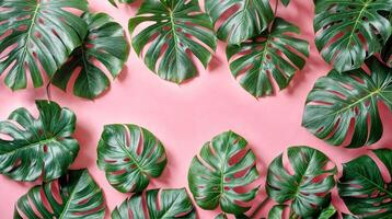 ai gegenereerd monstera bladeren Aan roze achtergrond. bloemen grens van vers groen tropisch fabriek. top visie, vlak leggen foto