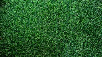 groen gras achtergrond textuur. voetbal veld- synthetisch grasmat. foto