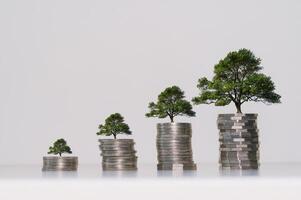 investering en bedrijf groei concept financieel ontwikkelingen en bedrijf winst groei met een groeit boom Aan stapelen munten foto