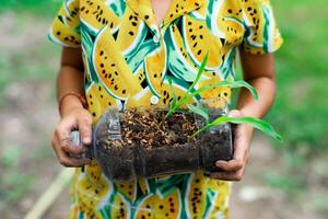 weinig meisje shows jonge boompjes gegroeid in gerecycled plastic flessen. recycle water fles pot, tuinieren activiteiten voor kinderen. recycling van plastic verspilling foto