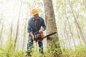 ervaren houthakker is snijdend een boom met een kettingzaag foto